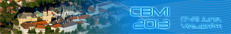 CBMI-2013